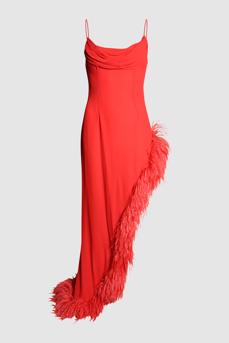 Asymmetric Feather Trimmed Dres