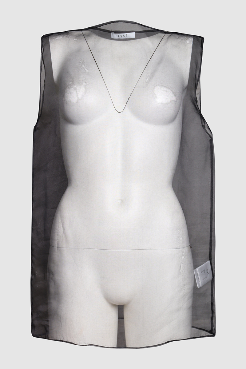 Sheer Top