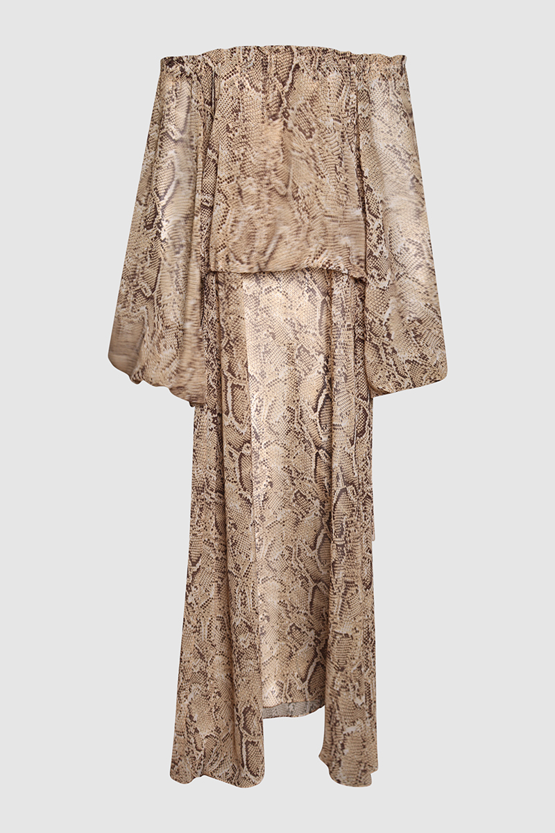 Animal Print Long Dress