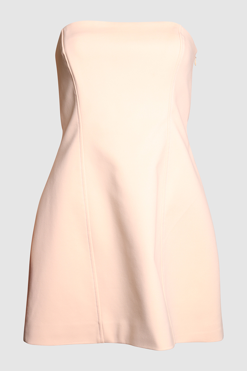 Alberta Strapless Mini Dress